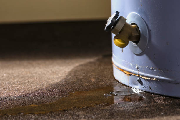 Best Carpet water damage restoration  in Cottage City, MD