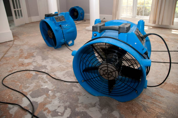 Best Basement water damage restoration  in Cottage City, MD