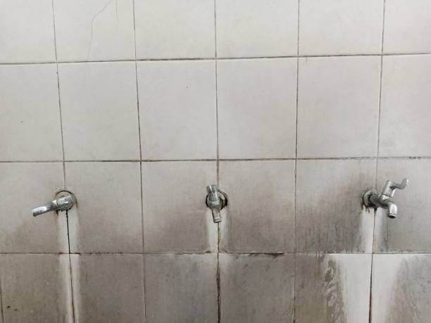 Best Sewage cleanup and water damage restoration  in Cottage City, MD